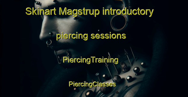 Skinart Magstrup introductory piercing sessions | PiercingTraining | PiercingClasses | SkinartTraining-Denmark