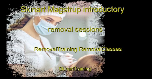 Skinart Magstrup introductory removal sessions | #RemovalTraining #RemovalClasses #SkinartTraining-Denmark