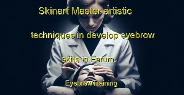Skinart Master artistic techniques in develop eyebrow skills in Esrum | EyebrowTraining | EyebrowClasses | SkinartTraining-Denmark