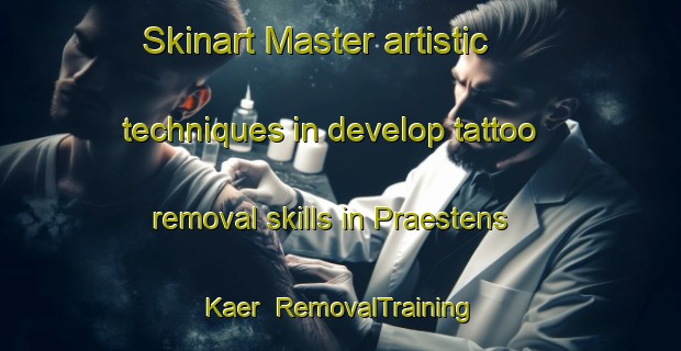 Skinart Master artistic techniques in develop tattoo removal skills in Praestens Kaer | RemovalTraining | RemovalClasses | SkinartTraining-Denmark
