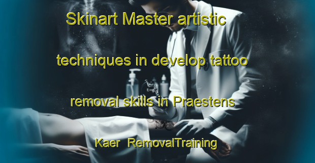 Skinart Master artistic techniques in develop tattoo removal skills in Praestens Kaer | RemovalTraining | RemovalClasses | SkinartTraining-Denmark