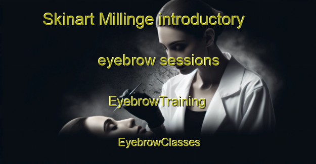 Skinart Millinge introductory eyebrow sessions | EyebrowTraining | EyebrowClasses | SkinartTraining-Denmark