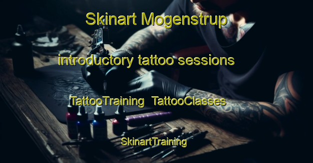 Skinart Mogenstrup introductory tattoo sessions | TattooTraining | TattooClasses | SkinartTraining-Denmark