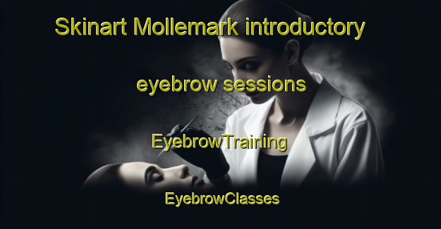 Skinart Mollemark introductory eyebrow sessions | EyebrowTraining | EyebrowClasses | SkinartTraining-Denmark
