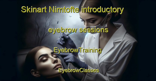 Skinart Nimtofte introductory eyebrow sessions | EyebrowTraining | EyebrowClasses | SkinartTraining-Denmark