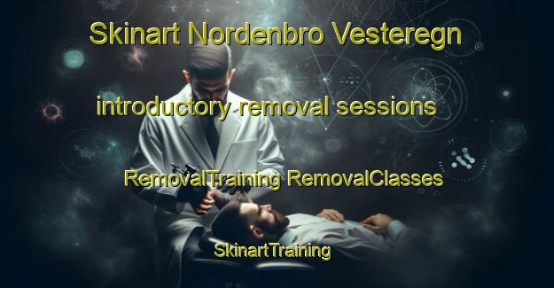 Skinart Nordenbro Vesteregn introductory removal sessions | #RemovalTraining #RemovalClasses #SkinartTraining-Denmark