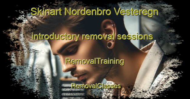 Skinart Nordenbro Vesteregn introductory removal sessions | RemovalTraining | RemovalClasses | SkinartTraining-Denmark