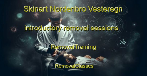 Skinart Nordenbro Vesteregn introductory removal sessions | RemovalTraining | RemovalClasses | SkinartTraining-Denmark