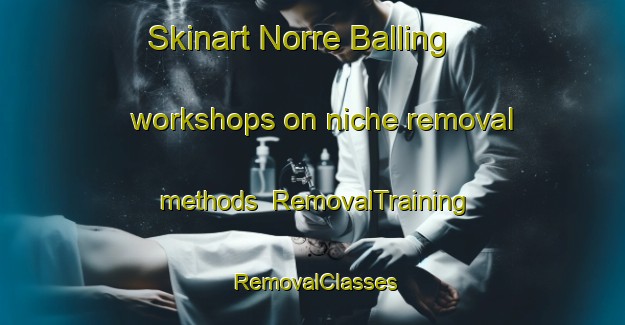 Skinart Norre Balling workshops on niche removal methods | RemovalTraining | RemovalClasses | SkinartTraining-Denmark