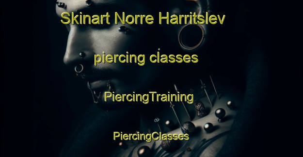 Skinart Norre Harritslev piercing classes | #PiercingTraining #PiercingClasses #SkinartTraining-Denmark