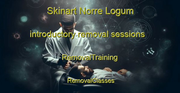 Skinart Norre Logum introductory removal sessions | RemovalTraining | RemovalClasses | SkinartTraining-Denmark