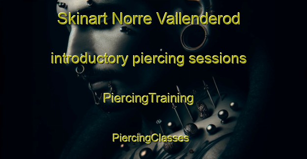 Skinart Norre Vallenderod introductory piercing sessions | PiercingTraining | PiercingClasses | SkinartTraining-Denmark