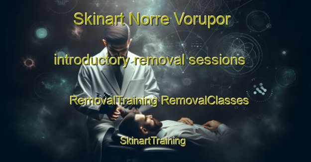 Skinart Norre Vorupor introductory removal sessions | #RemovalTraining #RemovalClasses #SkinartTraining-Denmark