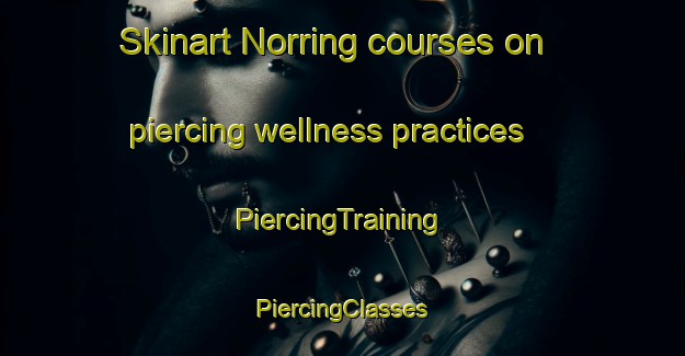 Skinart Norring courses on piercing wellness practices | #PiercingTraining #PiercingClasses #SkinartTraining-Denmark