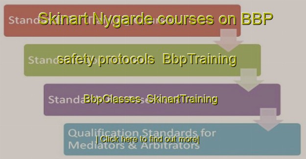 Skinart Nygarde courses on BBP safety protocols | BbpTraining | BbpClasses | SkinartTraining-Denmark