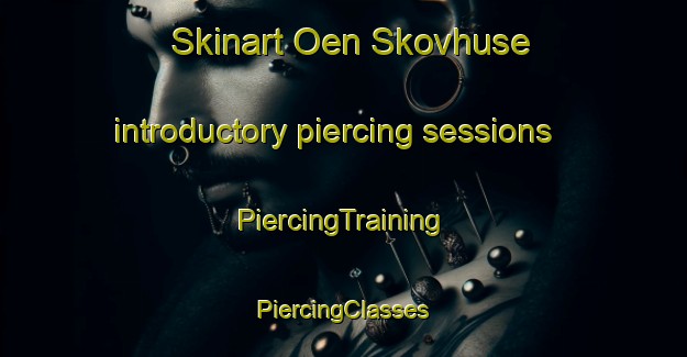 Skinart Oen Skovhuse introductory piercing sessions | #PiercingTraining #PiercingClasses #SkinartTraining-Denmark