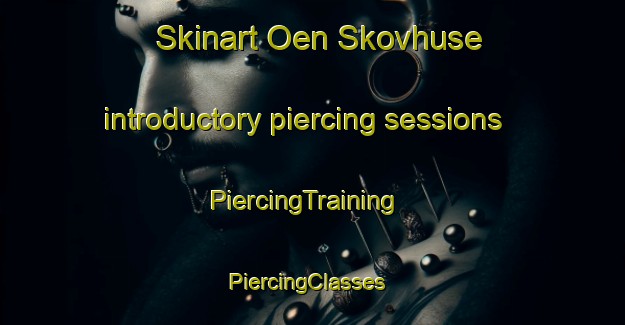 Skinart Oen Skovhuse introductory piercing sessions | PiercingTraining | PiercingClasses | SkinartTraining-Denmark