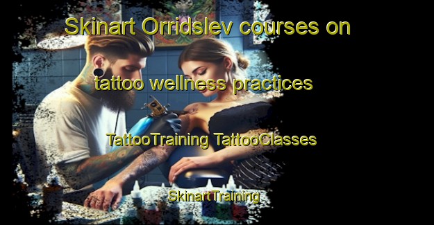 Skinart Orridslev courses on tattoo wellness practices | #TattooTraining #TattooClasses #SkinartTraining-Denmark