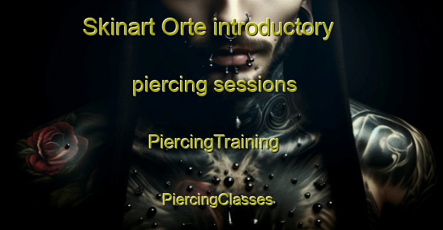 Skinart Orte introductory piercing sessions | PiercingTraining | PiercingClasses | SkinartTraining-Denmark