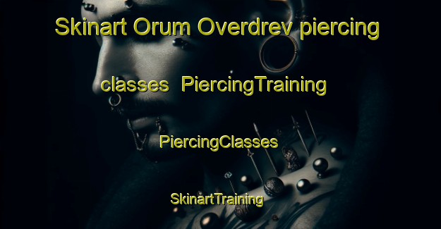 Skinart Orum Overdrev piercing classes | #PiercingTraining #PiercingClasses #SkinartTraining-Denmark