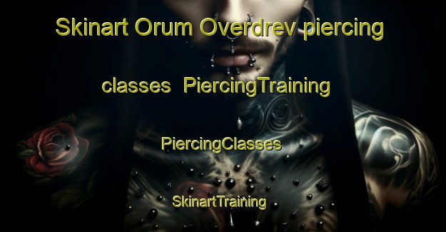 Skinart Orum Overdrev piercing classes | #PiercingTraining #PiercingClasses #SkinartTraining-Denmark