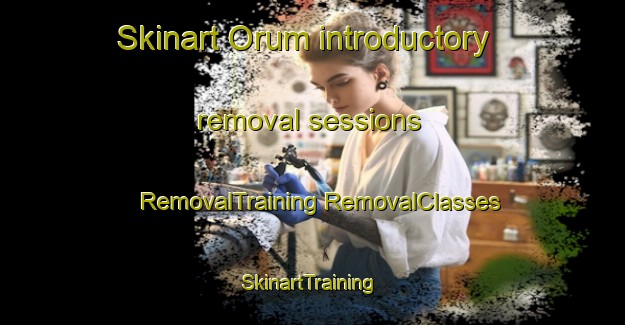 Skinart Orum introductory removal sessions | #RemovalTraining #RemovalClasses #SkinartTraining-Denmark