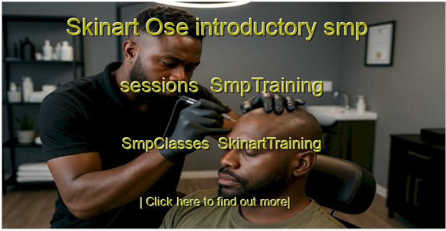 Skinart Ose introductory smp sessions | SmpTraining | SmpClasses | SkinartTraining-Denmark