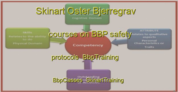 Skinart Oster Bjerregrav courses on BBP safety protocols | BbpTraining | BbpClasses | SkinartTraining-Denmark