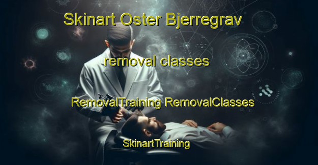 Skinart Oster Bjerregrav removal classes | #RemovalTraining #RemovalClasses #SkinartTraining-Denmark