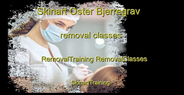 Skinart Oster Bjerregrav removal classes | #RemovalTraining #RemovalClasses #SkinartTraining-Denmark