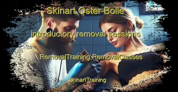 Skinart Oster Bolle introductory removal sessions | #RemovalTraining #RemovalClasses #SkinartTraining-Denmark