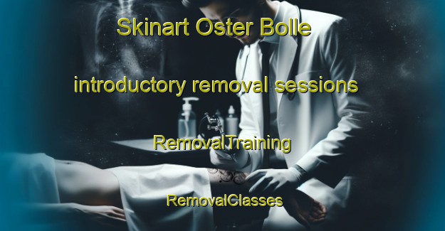 Skinart Oster Bolle introductory removal sessions | RemovalTraining | RemovalClasses | SkinartTraining-Denmark