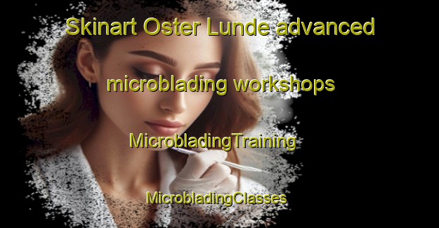 Skinart Oster Lunde advanced microblading workshops | MicrobladingTraining | MicrobladingClasses | SkinartTraining-Denmark
