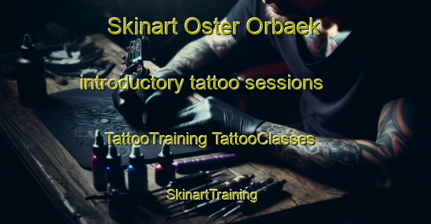 Skinart Oster Orbaek introductory tattoo sessions | #TattooTraining #TattooClasses #SkinartTraining-Denmark