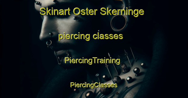 Skinart Oster Skerninge piercing classes | #PiercingTraining #PiercingClasses #SkinartTraining-Denmark