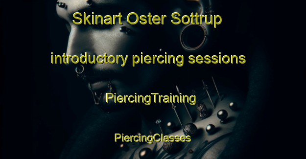 Skinart Oster Sottrup introductory piercing sessions | #PiercingTraining #PiercingClasses #SkinartTraining-Denmark