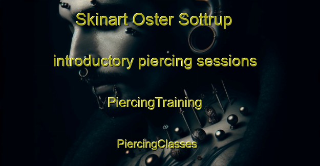 Skinart Oster Sottrup introductory piercing sessions | PiercingTraining | PiercingClasses | SkinartTraining-Denmark