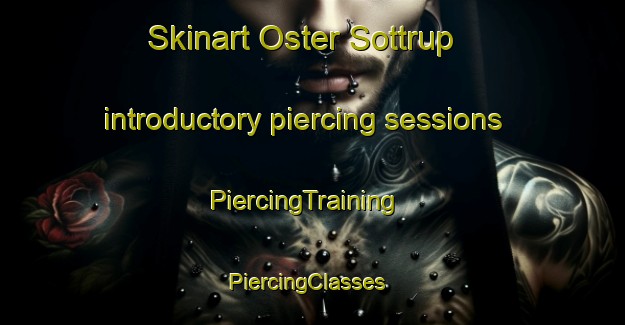 Skinart Oster Sottrup introductory piercing sessions | PiercingTraining | PiercingClasses | SkinartTraining-Denmark
