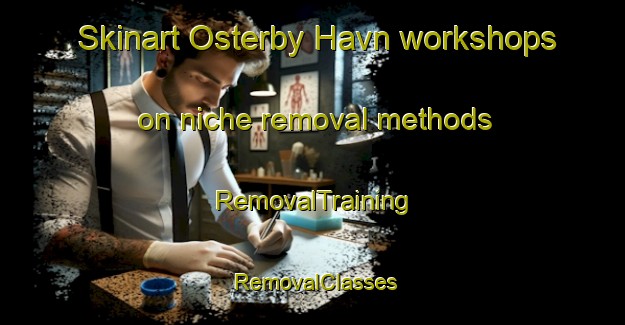 Skinart Osterby Havn workshops on niche removal methods | RemovalTraining | RemovalClasses | SkinartTraining-Denmark
