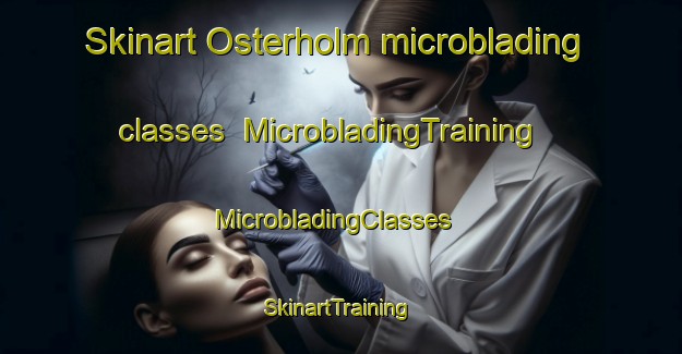 Skinart Osterholm microblading classes | MicrobladingTraining | MicrobladingClasses | SkinartTraining-Denmark