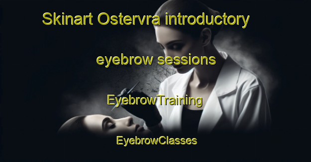 Skinart Ostervra introductory eyebrow sessions | EyebrowTraining | EyebrowClasses | SkinartTraining-Denmark
