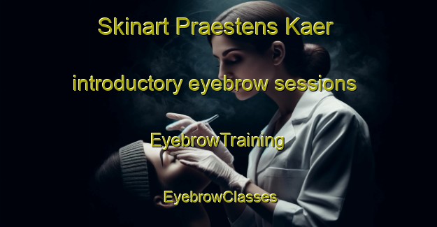 Skinart Praestens Kaer introductory eyebrow sessions | EyebrowTraining | EyebrowClasses | SkinartTraining-Denmark