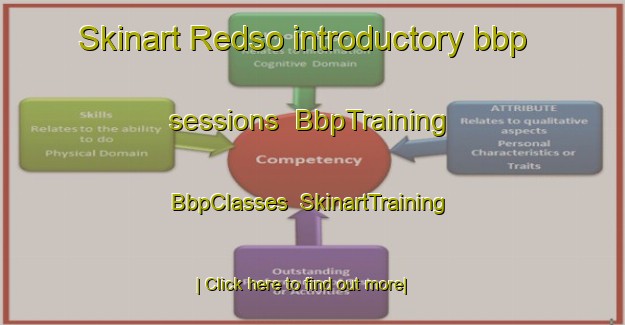 Skinart Redso introductory bbp sessions | BbpTraining | BbpClasses | SkinartTraining-Denmark