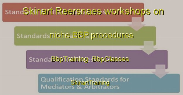 Skinart Reersnaes workshops on niche BBP procedures | BbpTraining | BbpClasses | SkinartTraining-Denmark