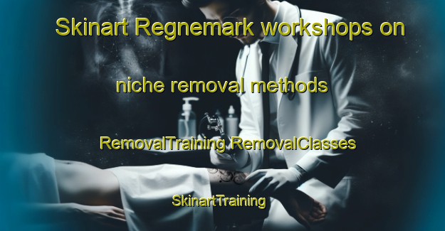 Skinart Regnemark workshops on niche removal methods | #RemovalTraining #RemovalClasses #SkinartTraining-Denmark