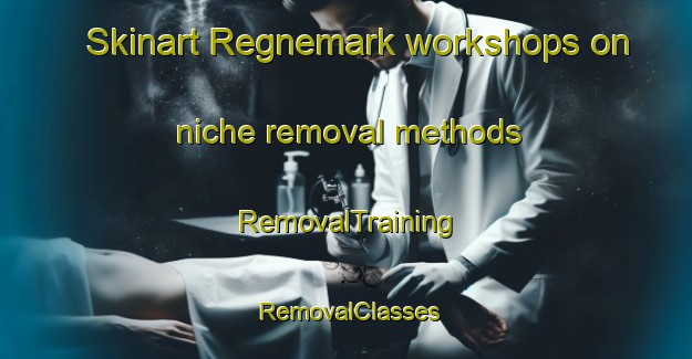 Skinart Regnemark workshops on niche removal methods | RemovalTraining | RemovalClasses | SkinartTraining-Denmark