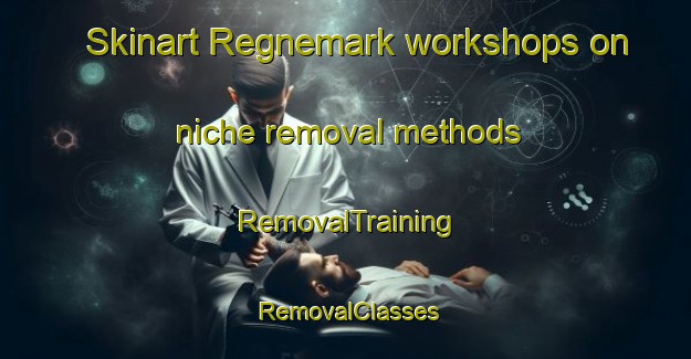 Skinart Regnemark workshops on niche removal methods | RemovalTraining | RemovalClasses | SkinartTraining-Denmark