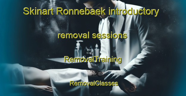 Skinart Ronnebaek introductory removal sessions | RemovalTraining | RemovalClasses | SkinartTraining-Denmark