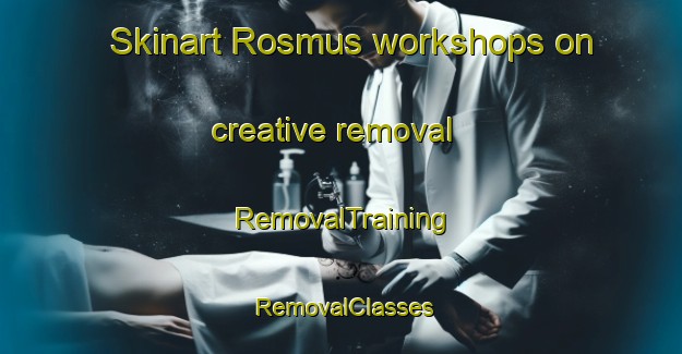 Skinart Rosmus workshops on creative removal | RemovalTraining | RemovalClasses | SkinartTraining-Denmark