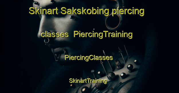 Skinart Sakskobing piercing classes | #PiercingTraining #PiercingClasses #SkinartTraining-Denmark